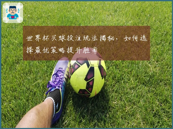 世界杯买球投注玩法揭秘，如何选择最优策略提升胜率