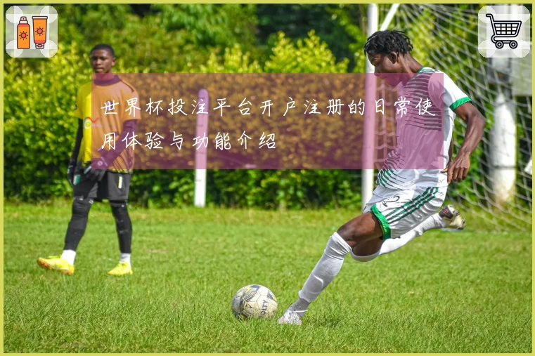 世界杯投注平台开户注册的日常使用体验与功能介绍
