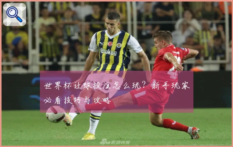 世界杯让球投注怎么玩？新手玩家必看技巧与攻略
