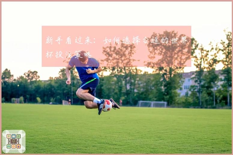 新手看过来：如何选择合适的世界杯投注策略