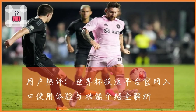 用户热评：世界杯投注平台官网入口使用体验与功能介绍全解析