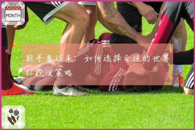 新手看过来：如何选择合适的世界杯投注策略