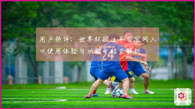用户热评：世界杯投注平台官网入口使用体验与功能介绍全解析
